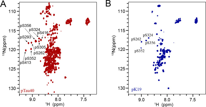 Figure 3—figure supplement 1.