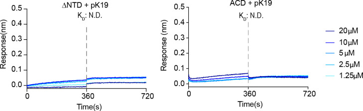 Figure 5—figure supplement 1.