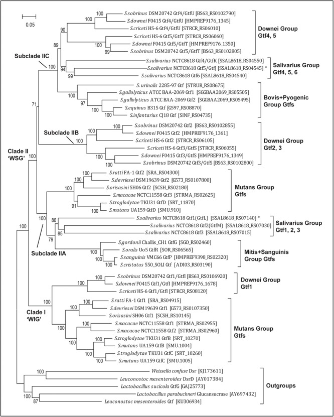 FIGURE 2