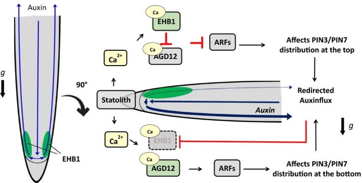 FIGURE 10