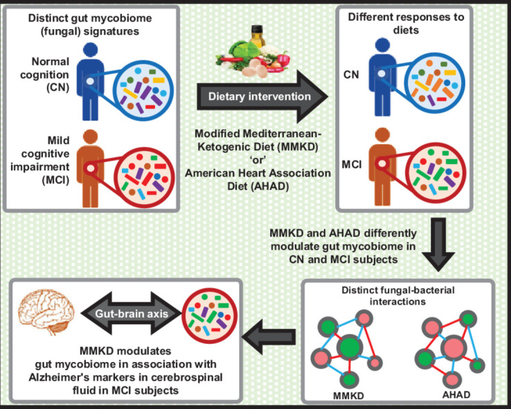 Image, graphical abstract