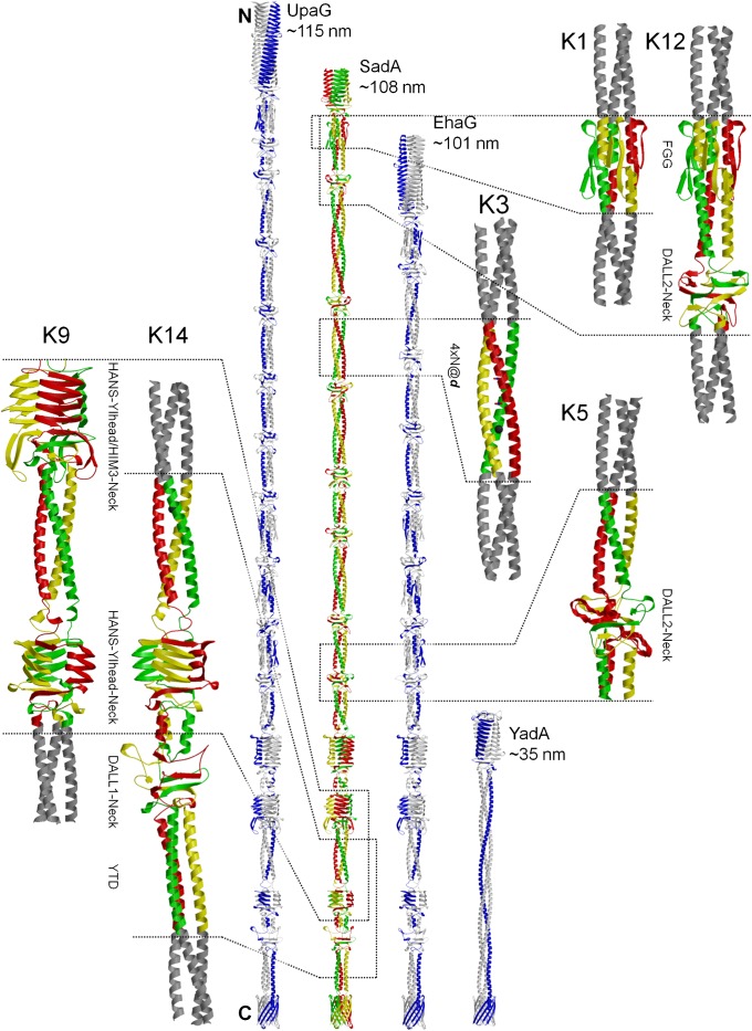 Fig. 2.