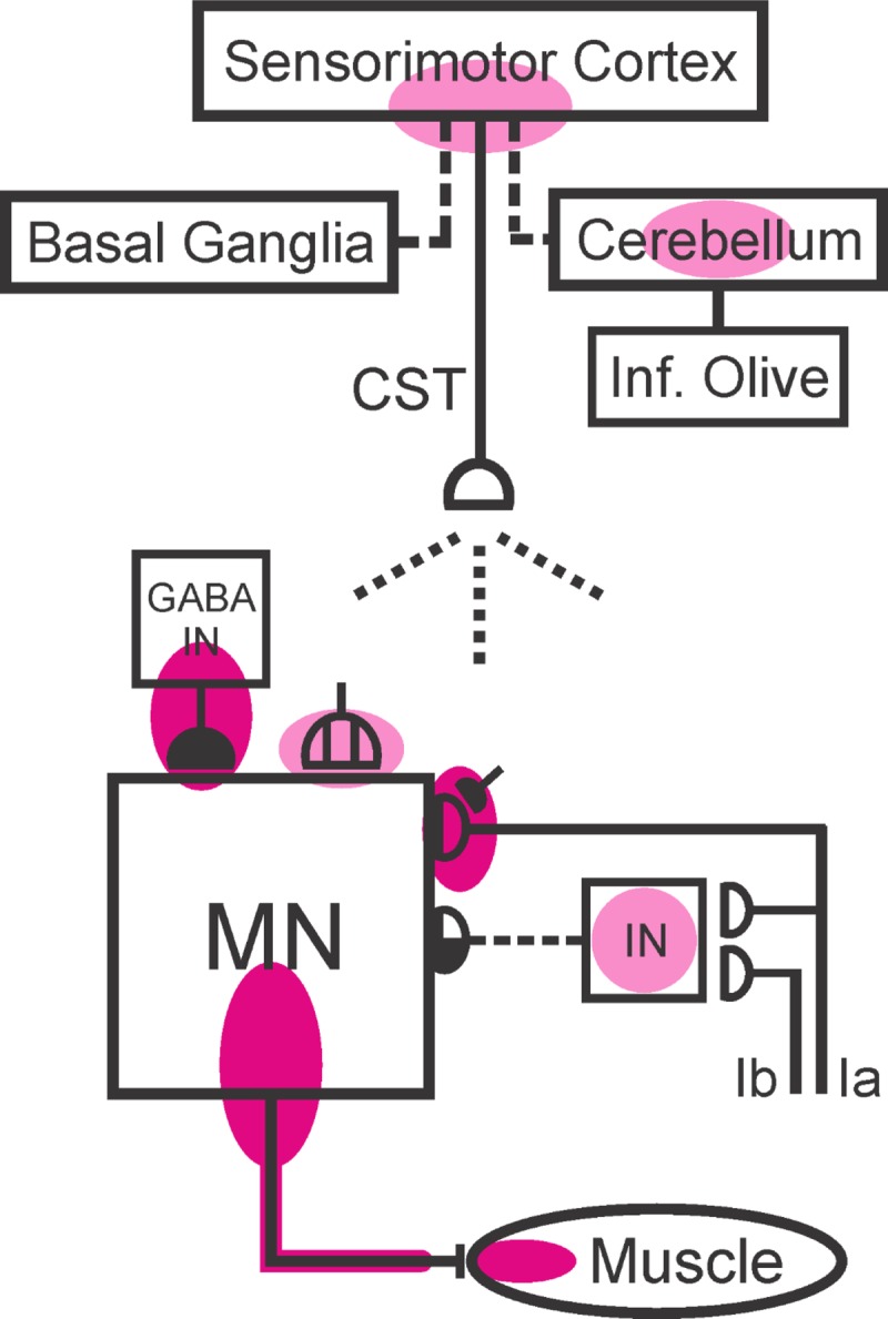 Fig. 5.