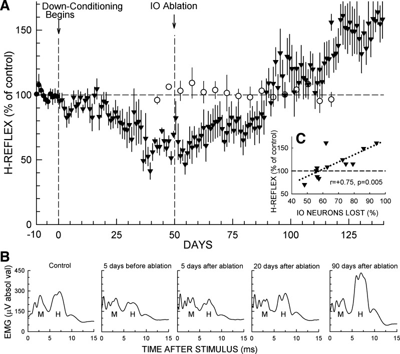 Fig. 3.