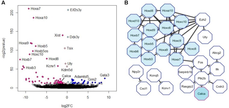 FIGURE 3