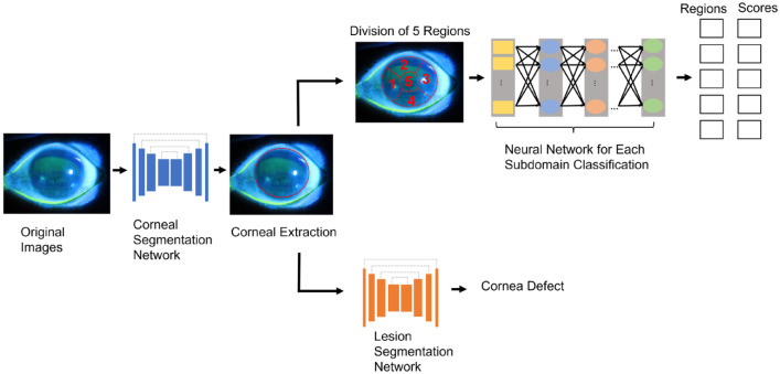 Figure 5.