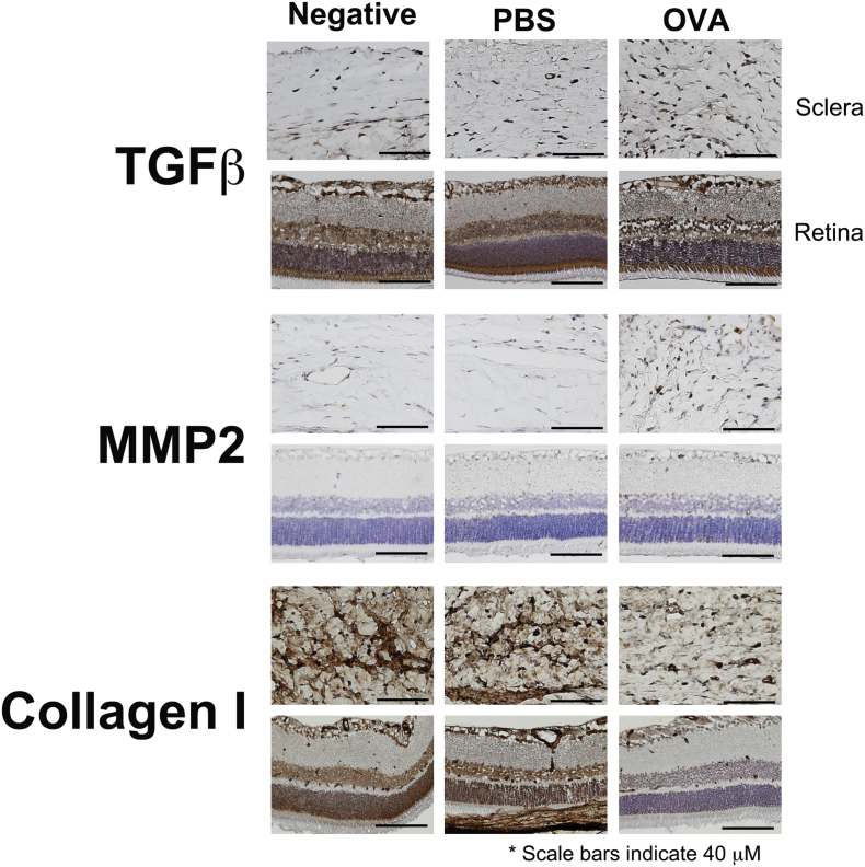 Unlabelled Image