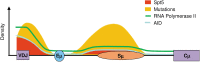 FIG. 3.