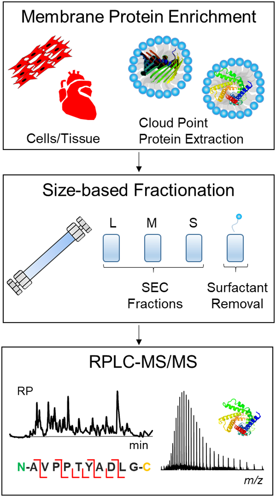 Scheme 1.