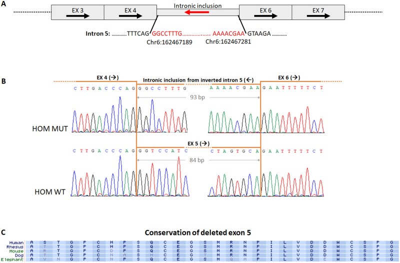 Figure 3: