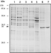 FIG. 7