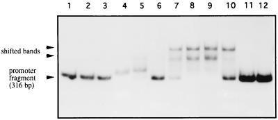 FIG. 8