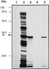 FIG. 9