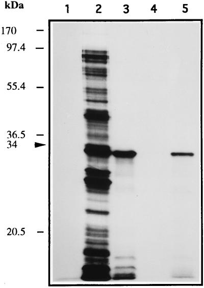 FIG. 9