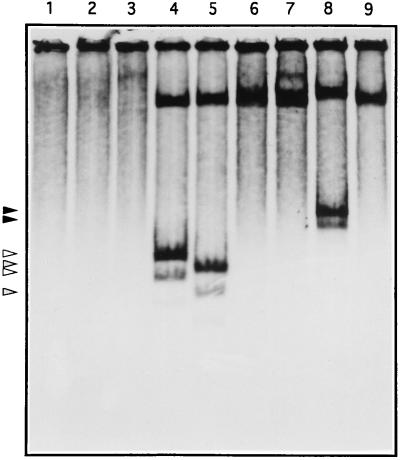 FIG. 10