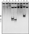 FIG. 10