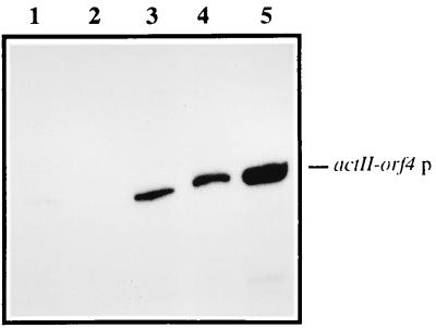 FIG. 5