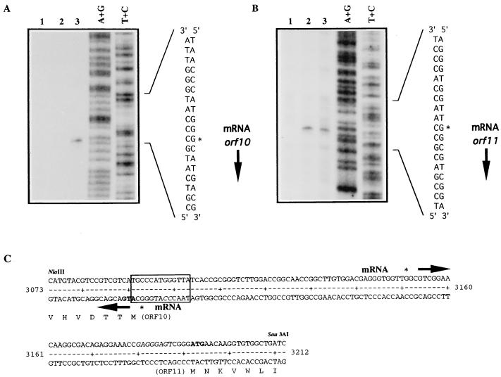 FIG. 6