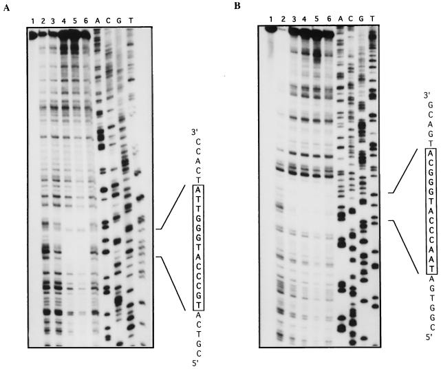 FIG. 11