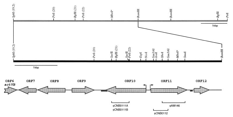 FIG. 1