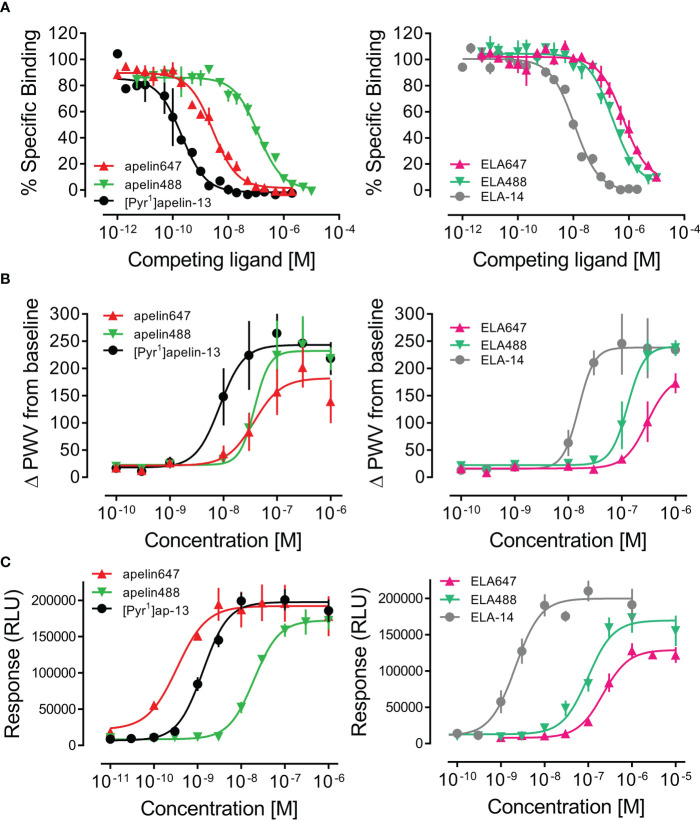 Figure 2