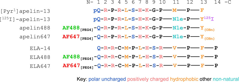 Figure 1