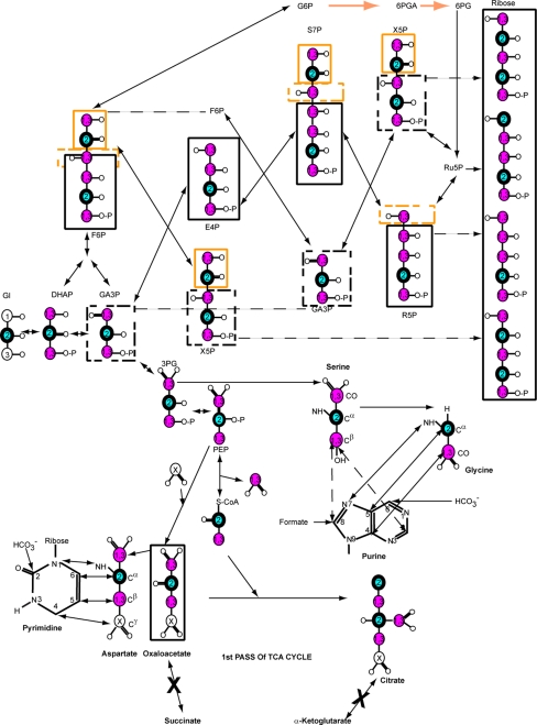 Fig. 1