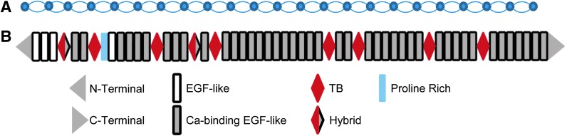 FIG. 2.