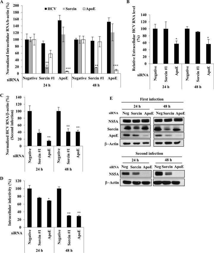 FIG 6