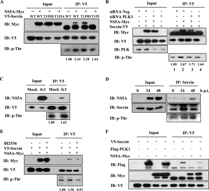 FIG 3