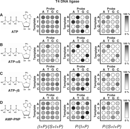 Figure 4.