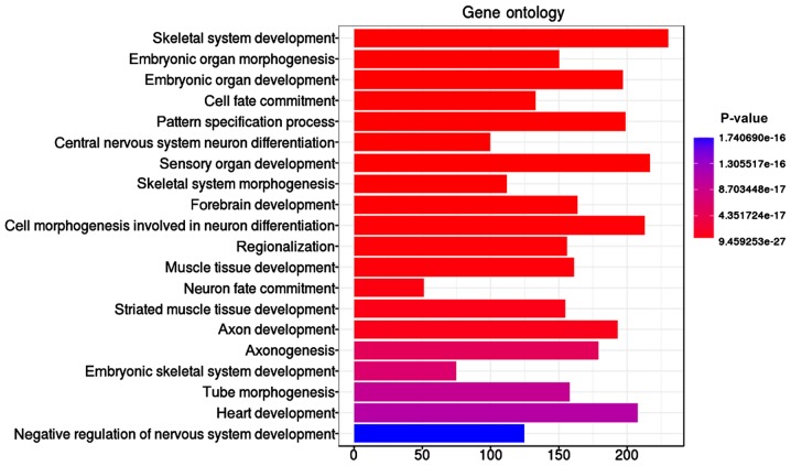 Figure 2.