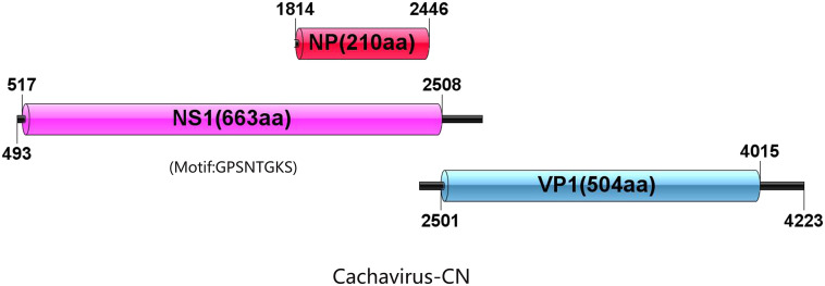 Fig. 2