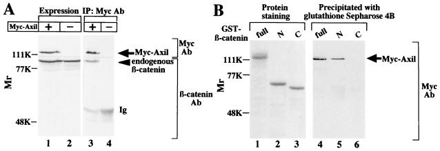 FIG. 5