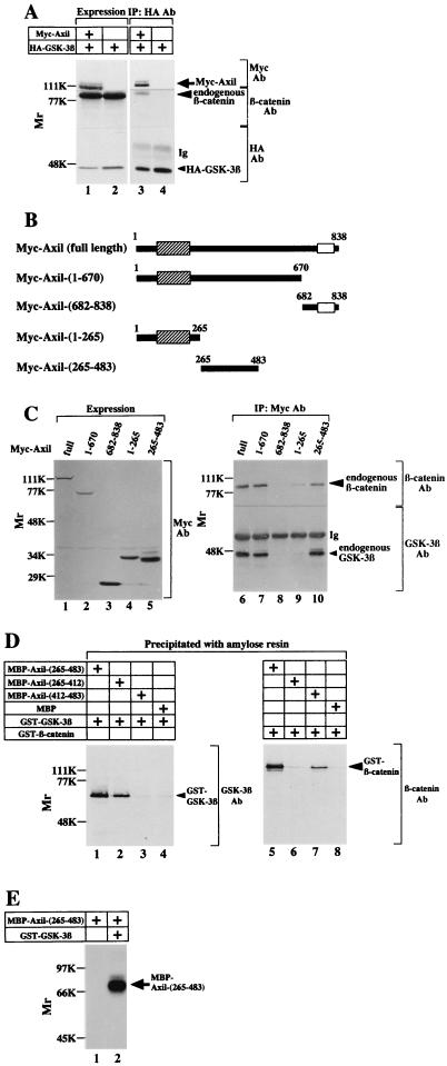 FIG. 6