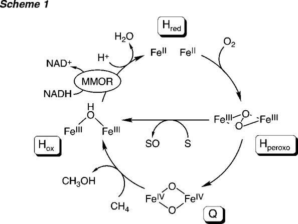 Scheme 1