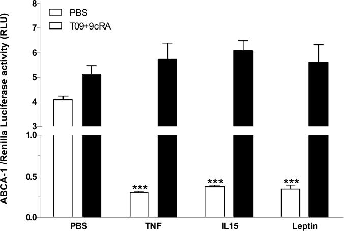 Fig. (3)