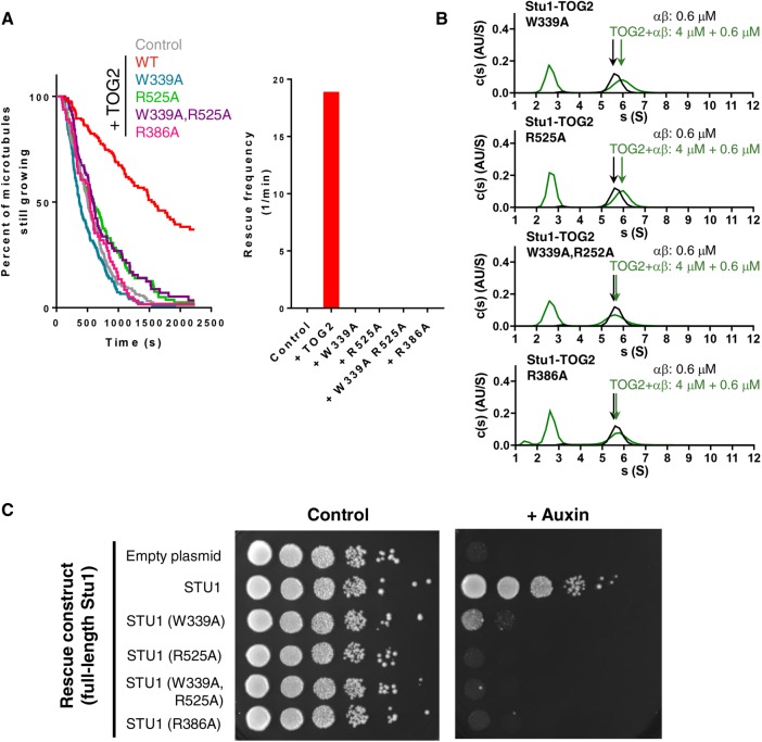 FIGURE 6: