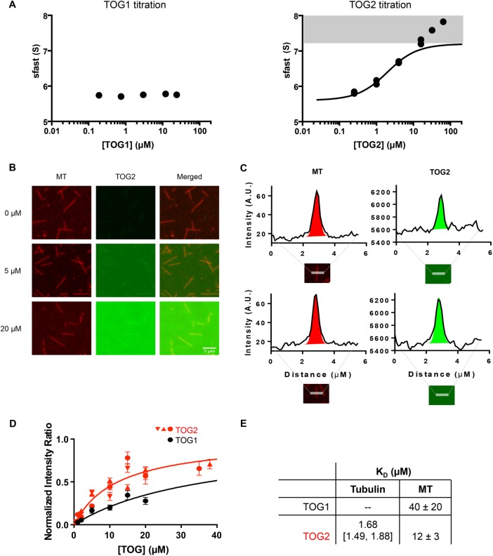 FIGURE 2: