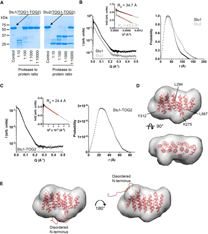 FIGURE 4: