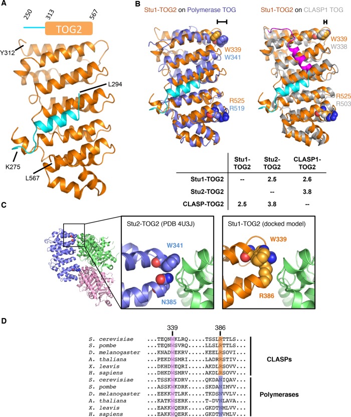 FIGURE 3: