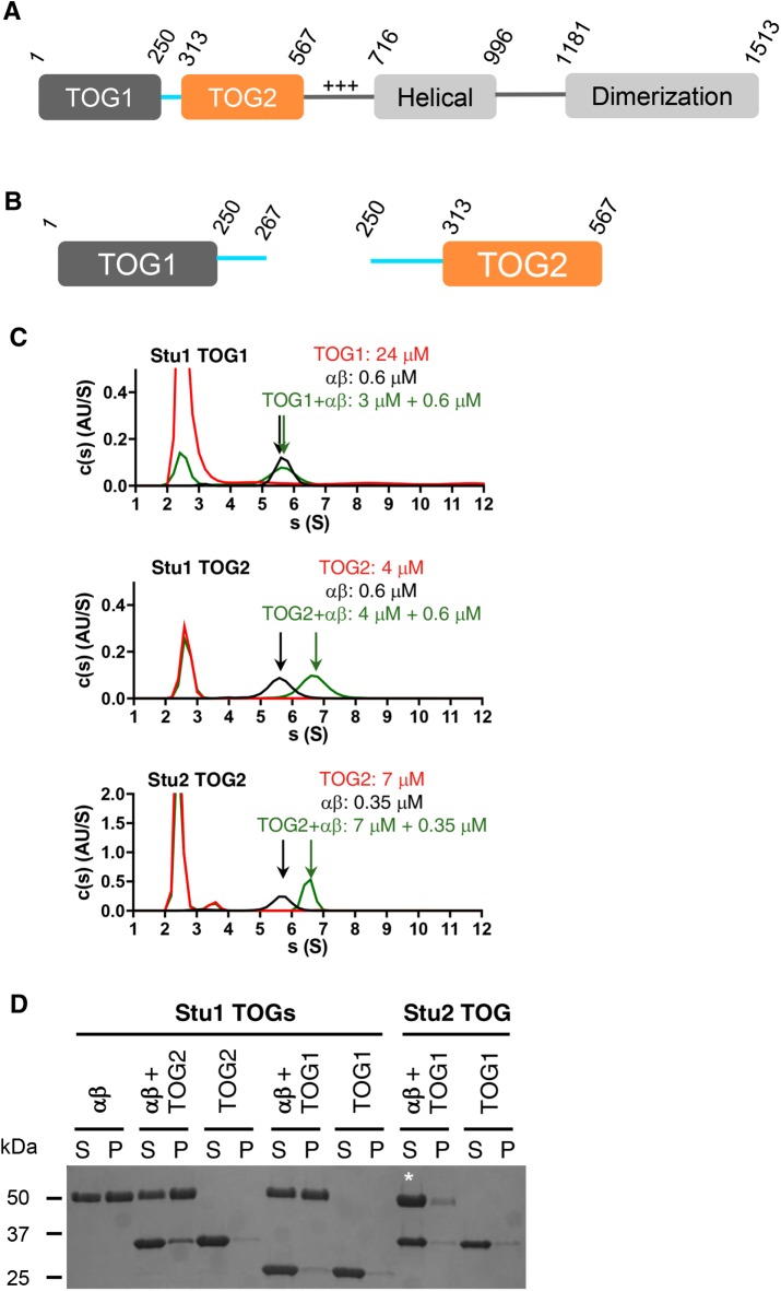 FIGURE 1: