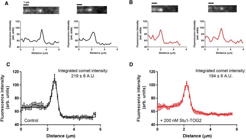 FIGURE 7: