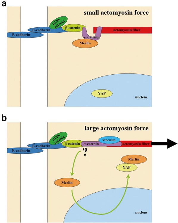 Fig. 5