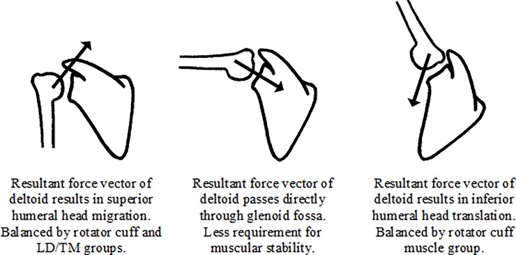 Fig 8