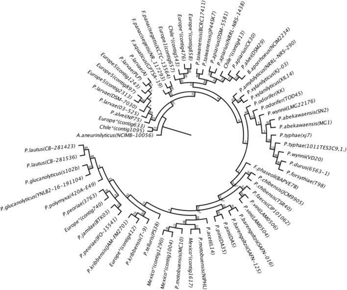 Fig. 6