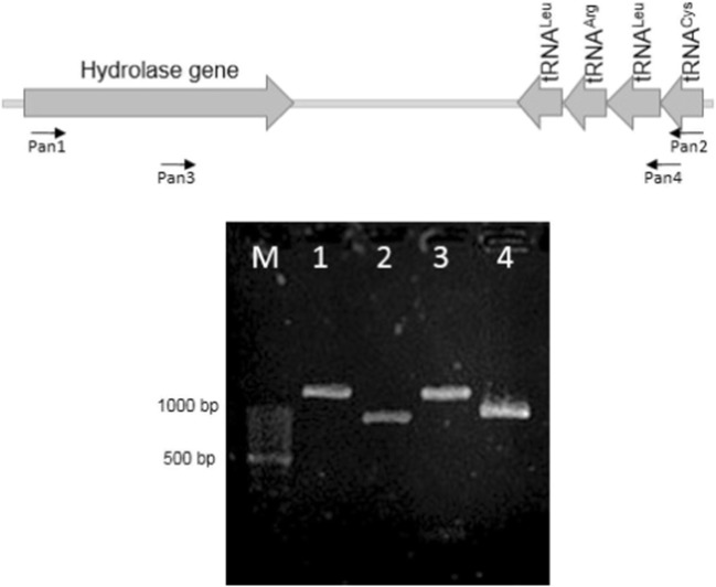 Fig. 2