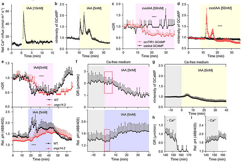 Extended Data Figure 6