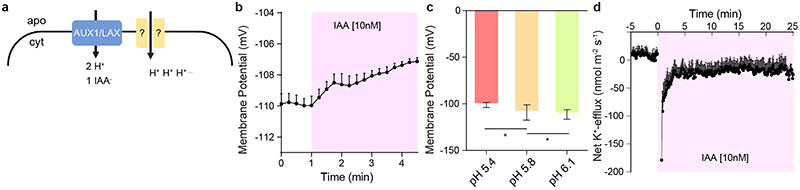 Extended Data Figure 5