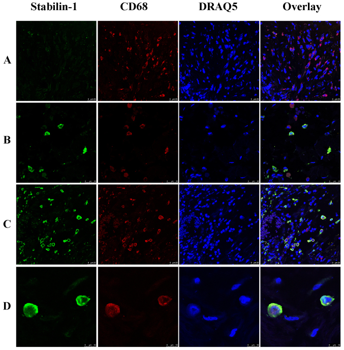 Figure 2.